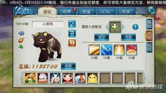 《卧龙》混伤流攻略：后期配装、加点与奇术装备解析