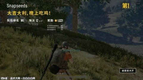 《森林之子》荒岛求生大揭秘：解锁逃离秘籍！