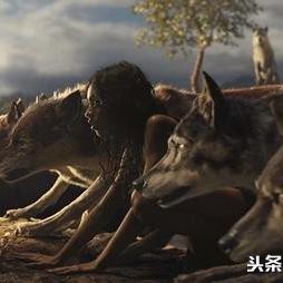 《森林之子》剧情深度揭秘:隐藏线索与角色解析 《森林之子》剧情深度揭秘:隐藏线索与角色解析