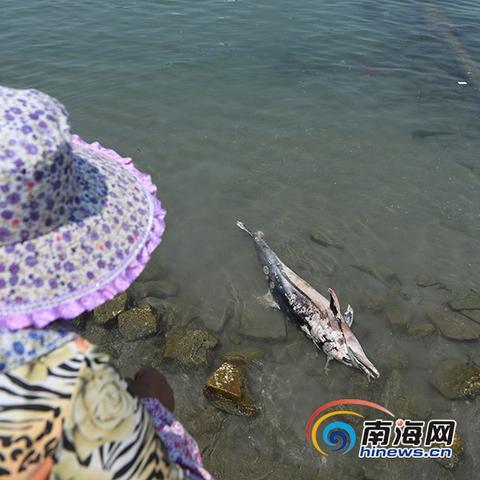 《死亡搁浅2》画面逼真度惊人!工具竟沦为摆设?揭秘! 《死亡搁浅2》画面逼真度惊人!工具竟沦为摆设?揭秘!