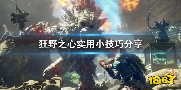 《狂野之心》晶石攻略：高效获取与使用技巧揭秘