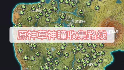 《原神》草神瞳速刷攻略：高效收集路线曝光