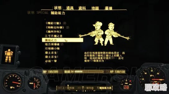 《辐射4》技能全解析：深度技能效果代码揭秘