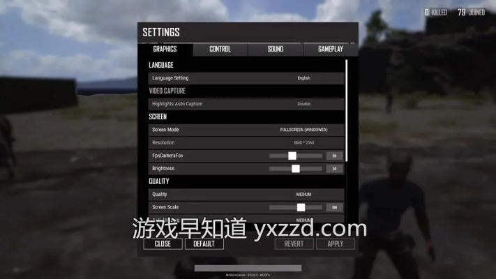 《绝地求生Reshade设置攻略：轻松提升画面效果》