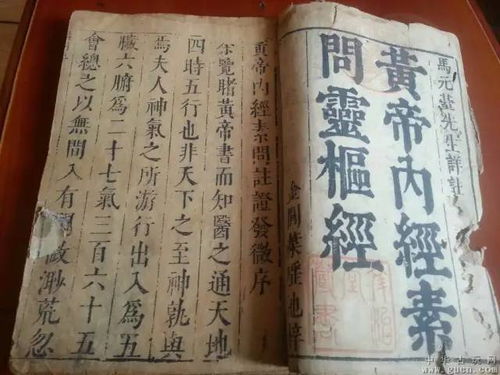 《剑星》希雍谜题攻略：破解复杂谜题答案揭秘