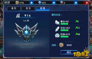 《狂野之心》飞燕刀进阶攻略：轻松提升战力技巧揭秘