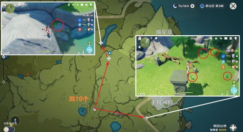 《原神》探秘：掣电树隐藏位置大揭秘！