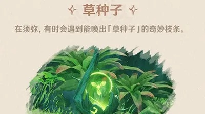 《原神》须弥新解谜!草种子谜题攻略大揭秘 《原神》须弥新解谜!草种子谜题攻略大揭秘