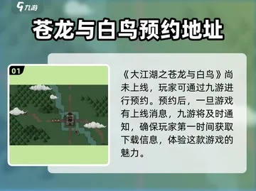 《苍龙白鸟密道探秘：大江湖苍云庄攻略全解析》