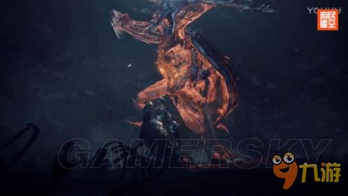 《黑暗之魂3》DLC2沙咒术师外衣获取攻略揭秘