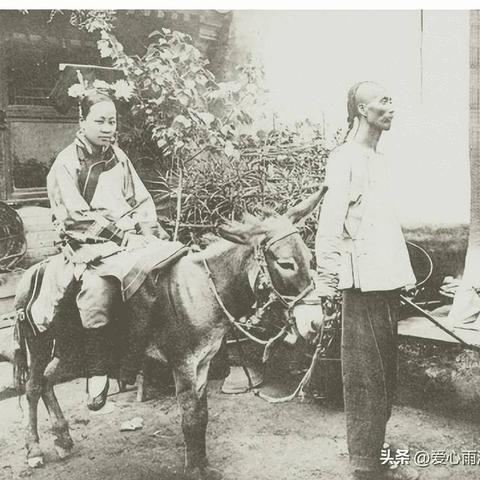 《暴行职业天赋解析：攻防判定攻略全揭秘》