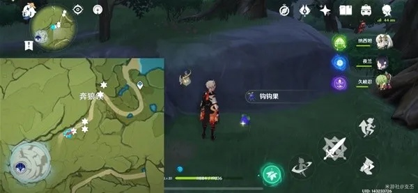 《原神》钩钩果速刷攻略：高效收集路线曝光