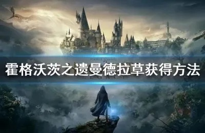 《霍格沃茨遗物：曼德拉草速获攻略》