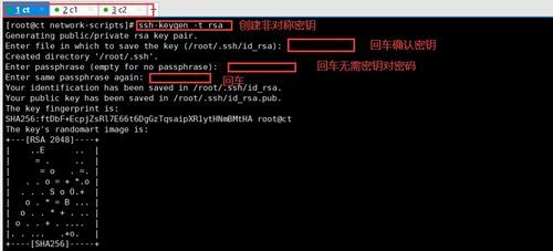 《Temtem全装备速成攻略：轻松解锁所有装备！》