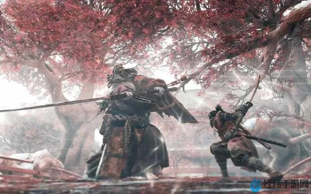《只狼》暗杀幻影破戒僧：高效忍杀技巧揭秘