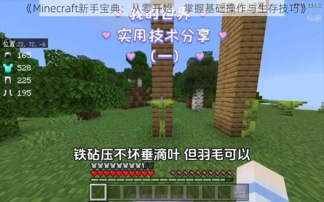 《Minecraft生存新手必看！攻略视频教学全解析》