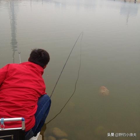 《全球热议：揭秘最爽战斗系统游戏排行》