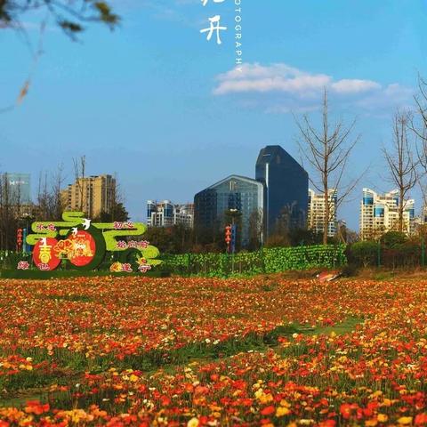 《贪婪大地新手攻略：轻松上手，掌握游戏精髓》
