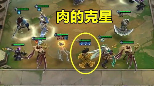 狂野之心吸血流大剑Build攻略：最强输出阵容揭秘