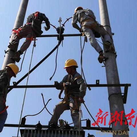《严阵以待》口碑两极分化，玩家热情不减，揭秘持续攀升之谜