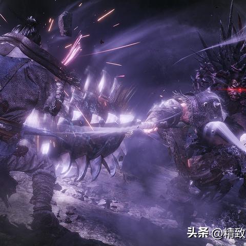 《仁王1.06版深度解析：新内容大揭秘》