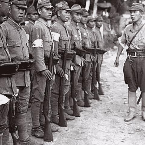《暴行》路线随从与护甲搭配攻略:最优选择揭秘 《暴行》路线随从与护甲搭配攻略:最优选择揭秘