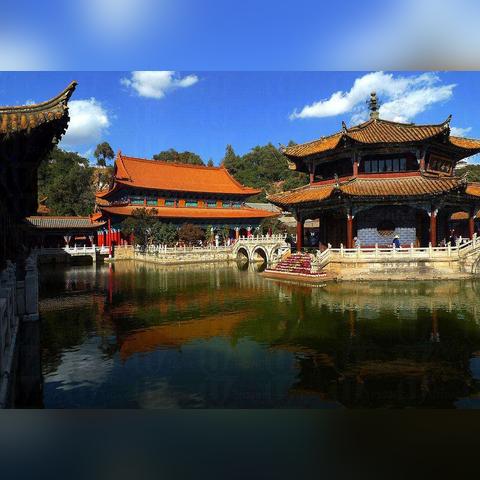 《盾爆乌龟队攻略:怪物乐土最强搭配揭秘》 《盾爆乌龟队攻略:怪物乐土最强搭配揭秘》