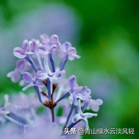 《希望OL》8点直播：远征流云群岛，云端启航！