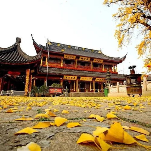 莲华古城必打卡万能点位攻略
