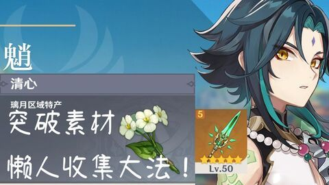 《原神》魈突破必备！清心采集点位攻略大揭秘