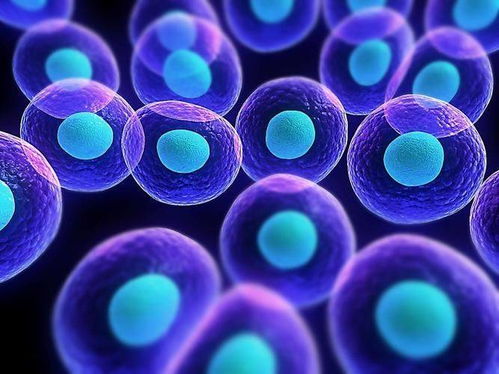 《幻塔》灰质体速刷攻略：高效刷灰质体技巧分享