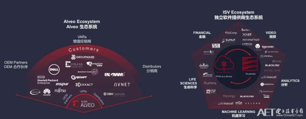 Altus社未来战略：粉丝与IP双赢之道