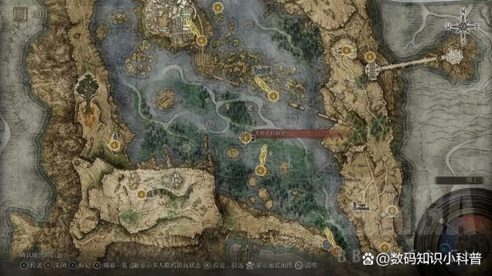 《艾尔登法环》全攻略：高效收集流程深度解析