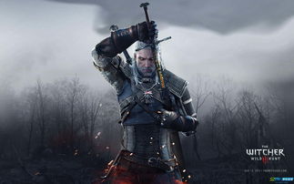 《巫师3》领衔!PS Plus八月移除游戏名单大揭秘 《巫师3》领衔!PS Plus八月移除游戏名单大揭秘