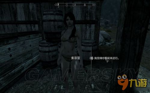 《上古卷轴5》索菲亚攻略：全解对话、结婚与环境互动