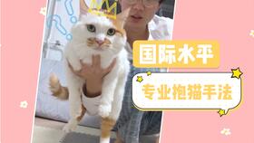 WLK火猫变绿猫真相揭秘:怀旧服大揭秘! WLK火猫变绿猫真相揭秘:怀旧服大揭秘!