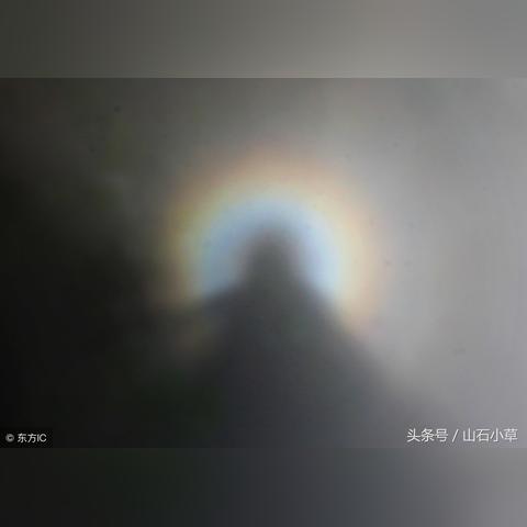 《十二影》攻略：深度解析版本差异与配置需求
