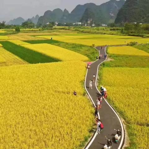《三年游戏好友离奇失踪，玩家热议追寻真相》